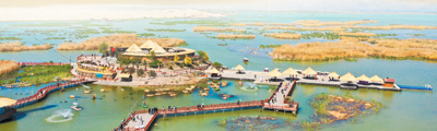 38173671c2d6270d2e57c73c2f70d5f7_1699562225681_1.jpg