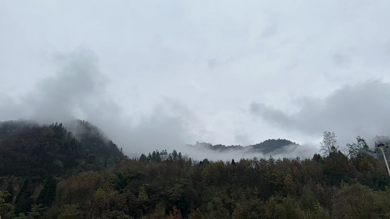 莱茵体育：公司注册地变更至四川成都，迎来转型发展新起点