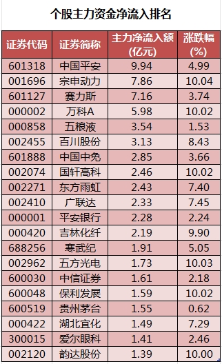 个股主力资金净流入排名.png