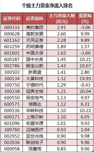 個股主力資金凈流入排名.png