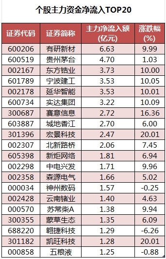 個(gè)股主力資金凈流入TOP20.png