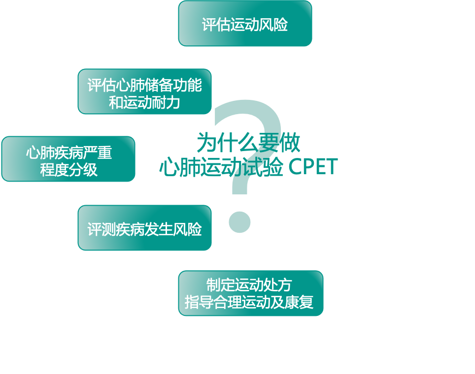 26心肺运动实验-？.png