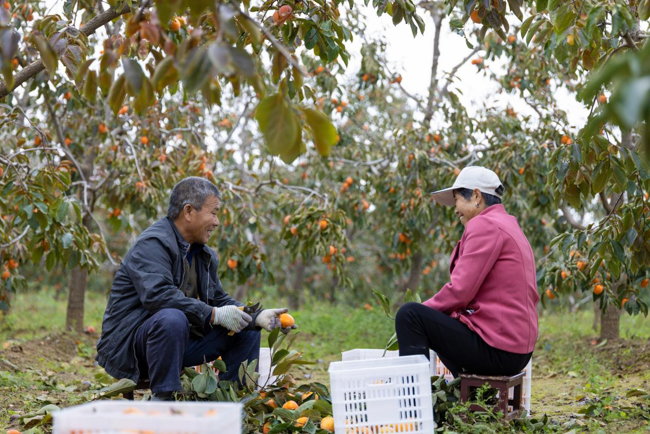 1761730784390695.png 图片2.png