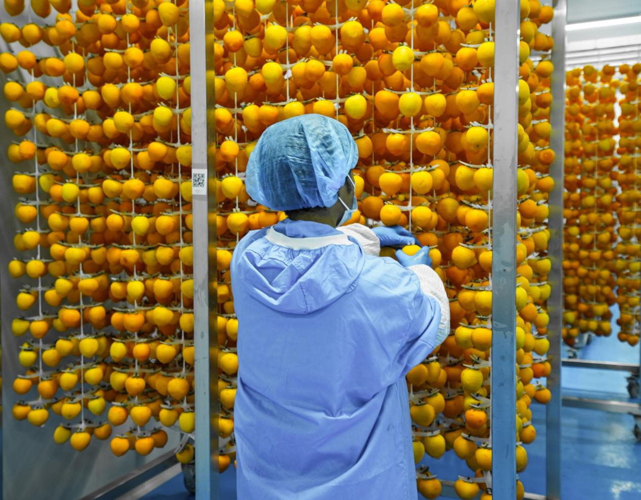 1761730867718826.png 图片5.png