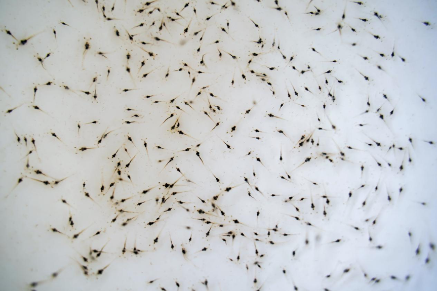 1762129465538306.png 3.png