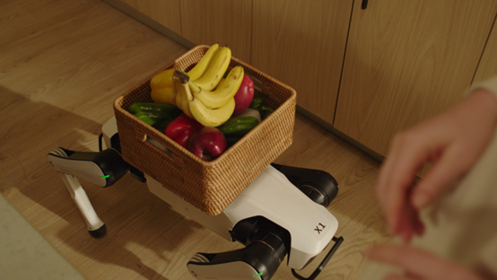 1762150056164470.png 333.png