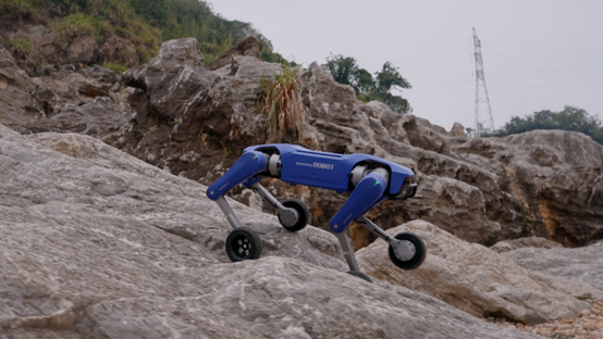 1762150137328501.png 555.png