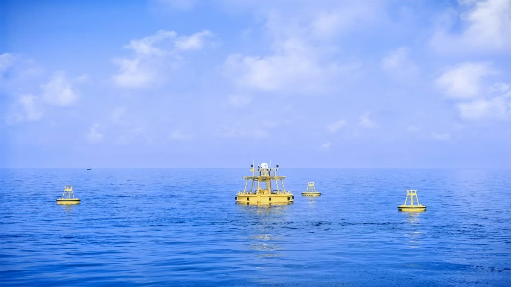 1763431515577549.jpg 1.jpg