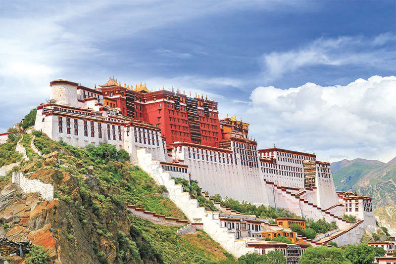 1767744900297611.jpeg e5eb2935-a3cc-481e-a562-2c77087d4048.jpg.1.jpeg