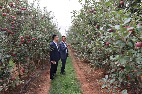 1769152654883810.jpg 图片3.jpg