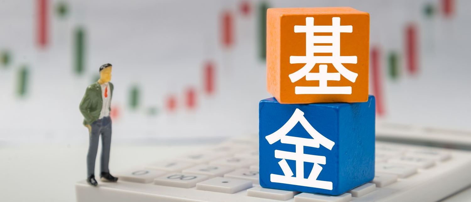 基金新闻,基金持仓,基金动向-证券时报基金栏目