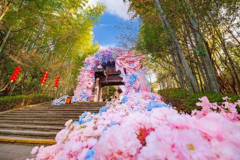 1772437941988151.png 图片2.png