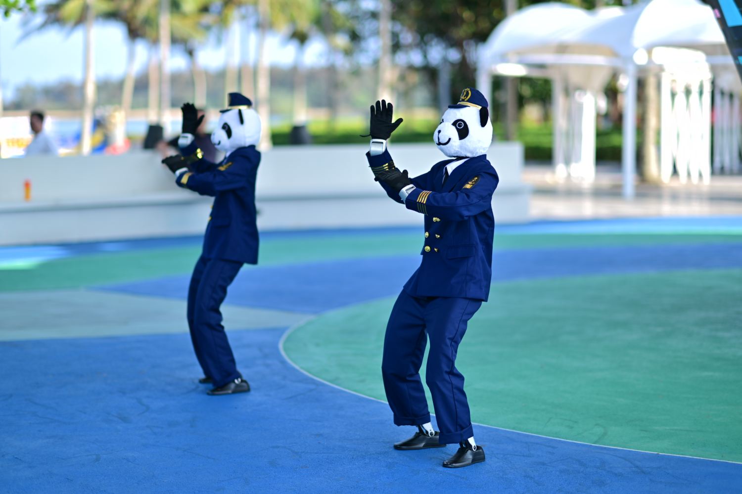 1774263787809928.jpg 729963_s.jpg