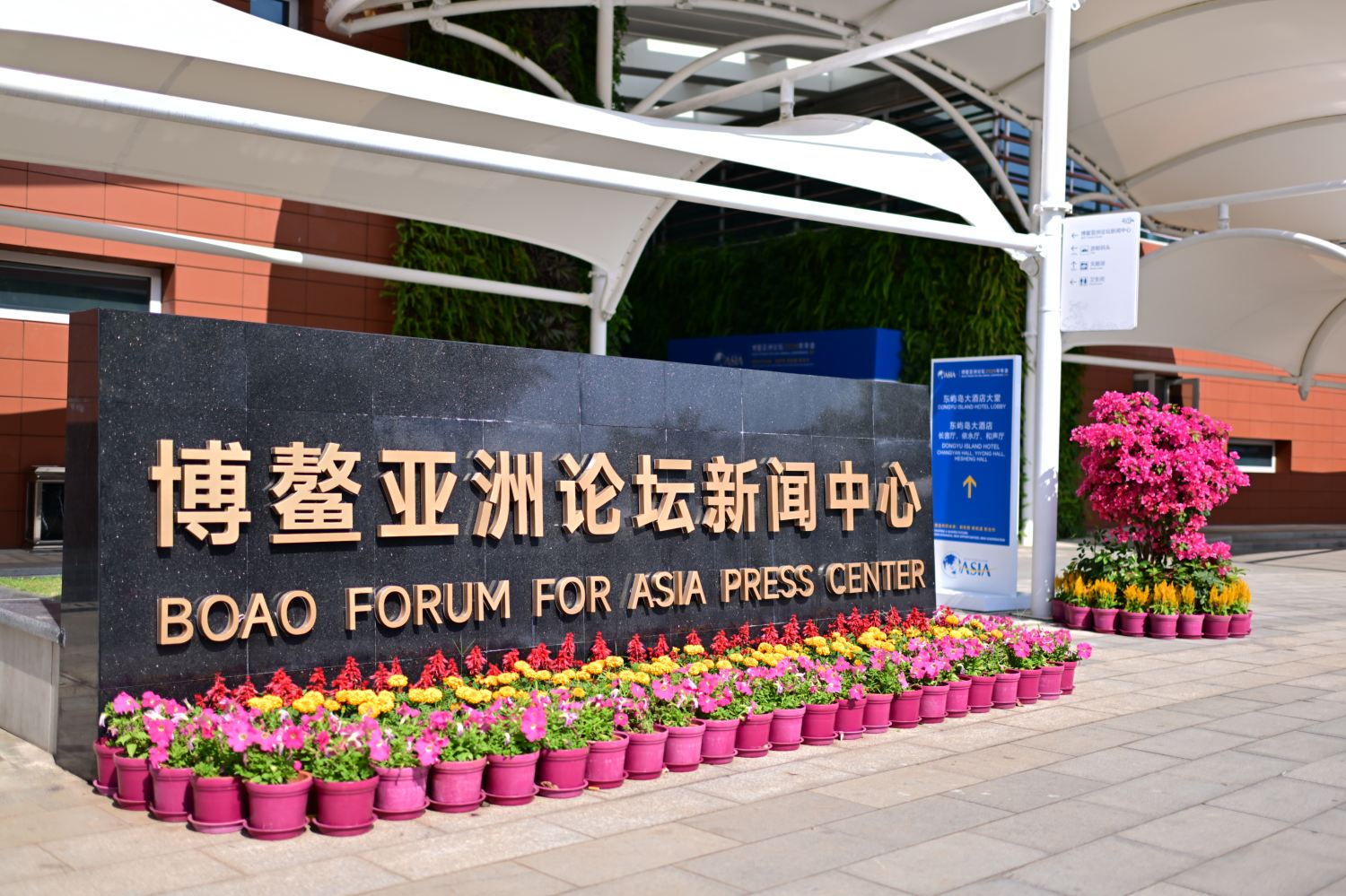 1774264128850672.jpg 729976_s.jpg