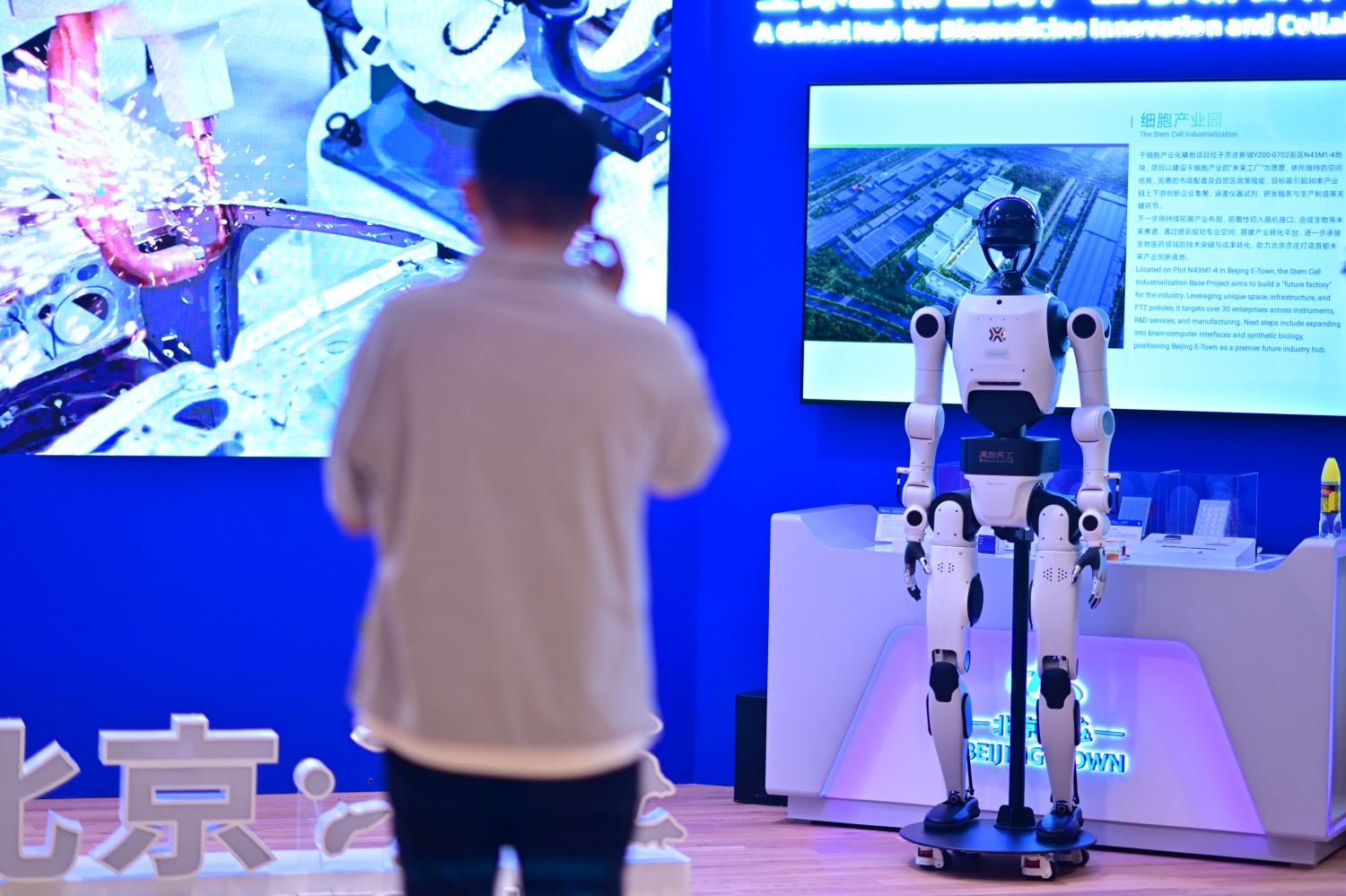 1774264332471946.jpg 729951_s.jpg