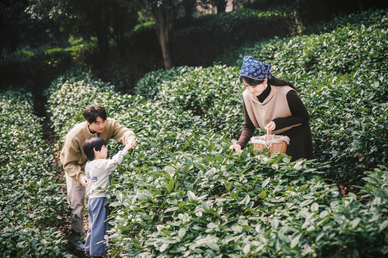 1774850683481816.png 图片3.png