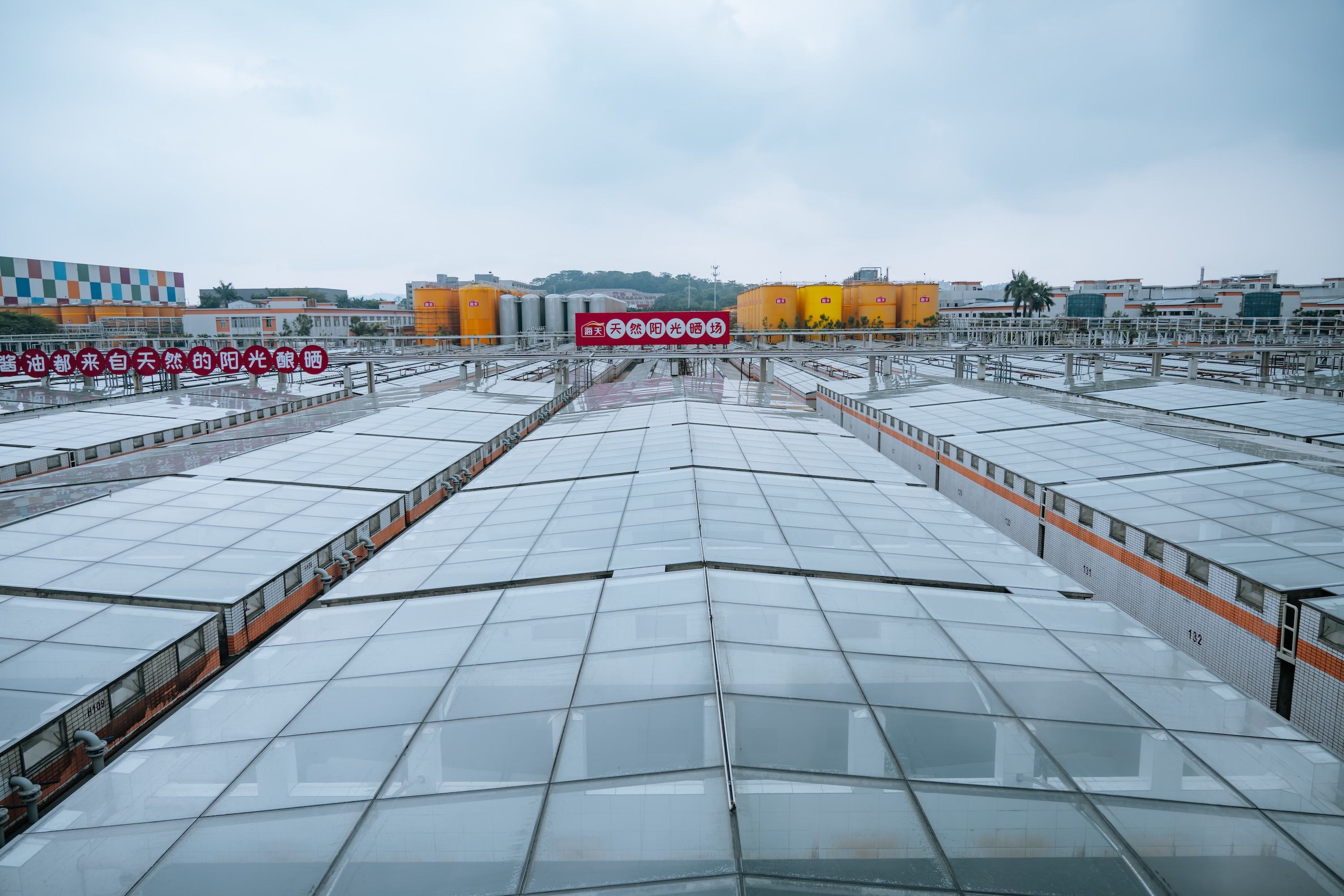 ��׵�����Ǳ���<a