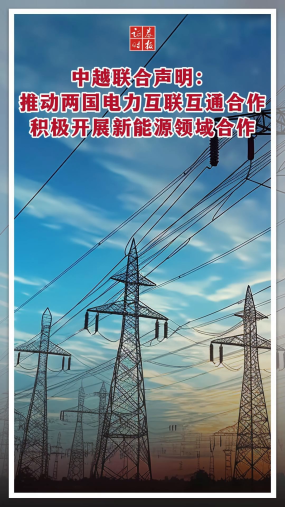 中越联合声明：推动两国电力互联互通合作 积极开展新能源领域合作