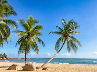 商业航天+免税升级，海南推动服务业发展“放大招”