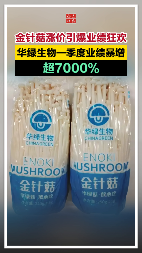 金針菇漲價引爆業績狂歡！華綠生物一季度業績暴增超7000%
