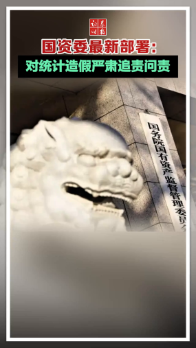 国资委最新部署：对统计造假严肃追责问责