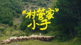 如何让深山里的老人跟上数字时代？“数字管家”小于给出了答案。（CIS）