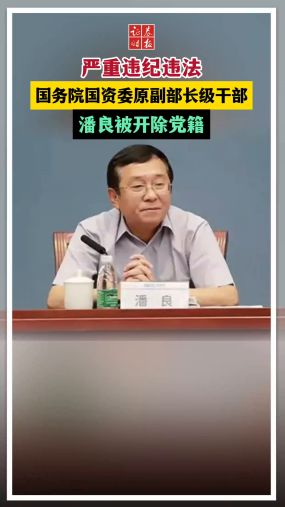 严重违纪违法 国务院国资委原副部长级干部潘良被开除党籍