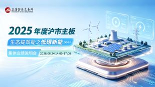 沪市主板生态提效能之低碳新能专题2025年年度集体业绩说明会