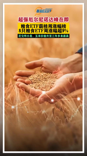 超强厄尔尼诺达峰在即 粮食ETF霸榜周涨幅榜 8只粮食ETF周涨幅超9% 芝交所小麦、玉米价格升至三年多来最高