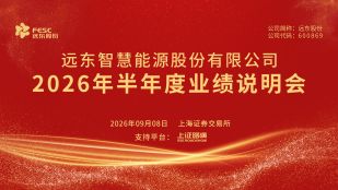 远东股份2026年半年度业绩说明会