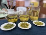 六部门印发意见 推动历史经典产业高质量发展配图