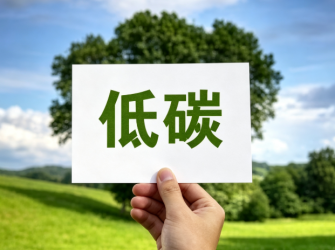 大步迈向绿色未来 用创新筑牢低碳发展之基