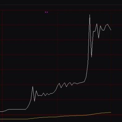 午后暴拉，涨到停牌！