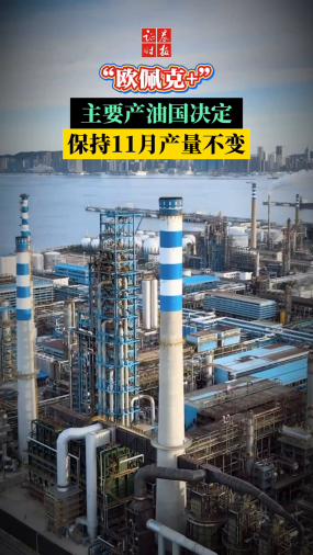 “欧佩克+”主要产油国决定保持11月产量不变
