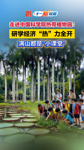 【十一“新”观察】走进中科院热带植物园：研学经济“热”力全开，满山都是"小课堂"