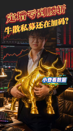 小登看数据：定增亏到腰斩 牛散私募还在加码？