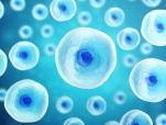 中赋科技推进生物医药转型 拟8.99亿元挂牌出售固废板块股权