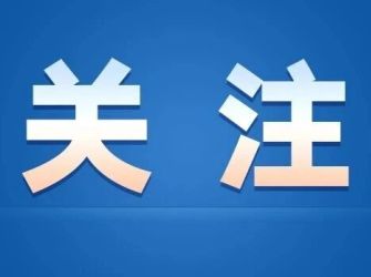 AI数据投毒、“魔改”经典……将被重点整治！